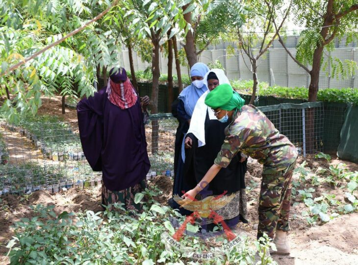 pacifying-somalia-how-kdf-smart-farms-are-helping-to-conserve-the