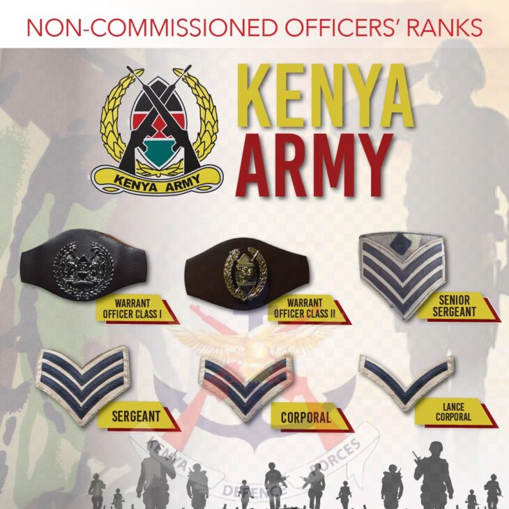 Know Your Military: The Ranking Structure Of Non-Commissioned KDF ...