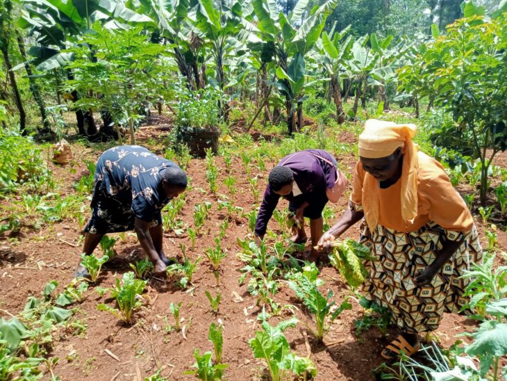 World Food Day: Women Farmers In Kisii Promote Organic Farming ...